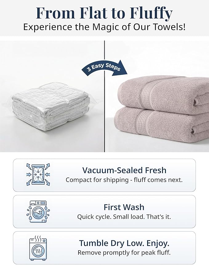LANE LINEN Bath Hand Towels - Pack of 4 (16"x 28"), 100% Cotton - Soft, Quick Dry & Highly Absorbent, Hand and Face Towels - Bathroom Hand Towel Set, Great for Gym, Salon, Spa & Family Use - Platinum