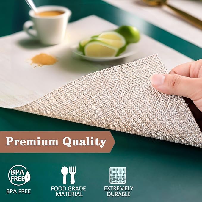 Beige Placemats Set of 2 - Heat Resistant Non-Slip Place mats for Dining Table, Washable Durable PVC Vinyl Woven Table Mats (Beige, 2)