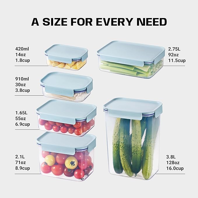 LocknLock HPL416 Classic-Plus Plastic Food Storage Container with Lid for Kitchen, Lunch, Meal Prep, and Leftovers, BPA-Free, Airtight, Leakproof, Microwave, Dishwasher, Freezer-Safe, 2.75L