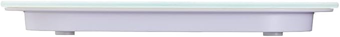 Taylor Pro Digital Kitchen Food Scales, Compact Professional Standard with Precision Accuracy and Waterproof Design with Tare Feature, White Glass, Weighs 14 kg/14 L Capacity