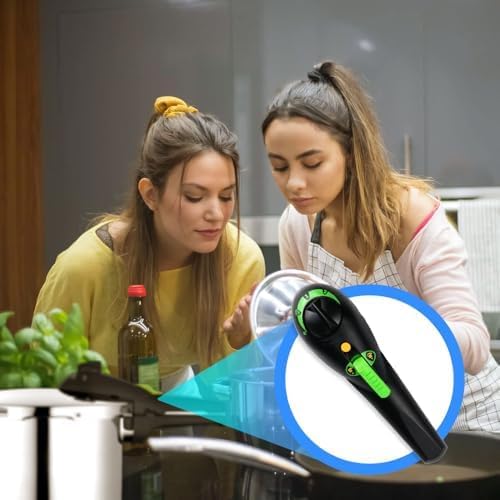 Anakel Home Replacement Handle Kit Compatible with Fagor Rapid Express 99 Pressure Cooker | Includes Pressure Regulator Valve, Screws and Lid (Thread size of the chimney: 0.23 in)