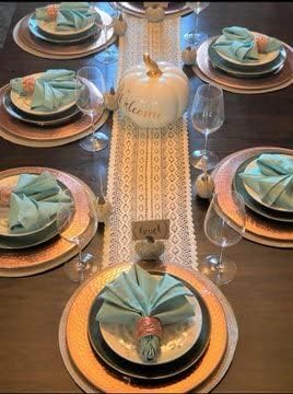 Your Chair Covers Cloth Polyester Napkins, 20 x 20 Inch, Washable Dinner Fabric Linen Napkins with Hemmed Edges for Restaurant, Wedding and Holiday Pack of 10 (Robin Egg)