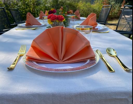 Peach Cloth Napkins Set of 6,100% Cotton Dinner Napkins, Warm Spring Carnation Color, Gift for Mon, Birthday,Soft Comfortable and Reusable 18"x18" (Salmon)