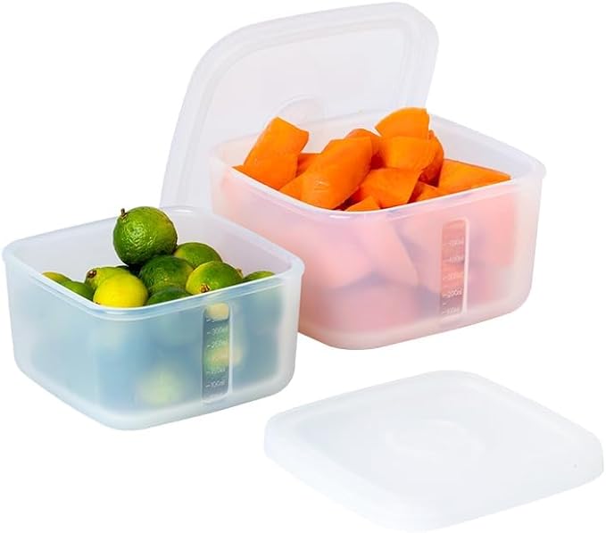 OTB Set of 2 Reusable Silicone Containers Clear, Nesting Leak-free Silicone Food Storage Boxes, BPA Free, Airtight, Dishwasher and Freezer Safe