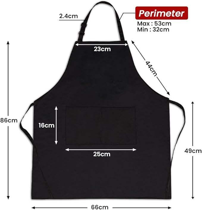 SANDJEST Funny Apron for Dad - Birthday Father’s Day Cooking Grilling Gifts for Mens