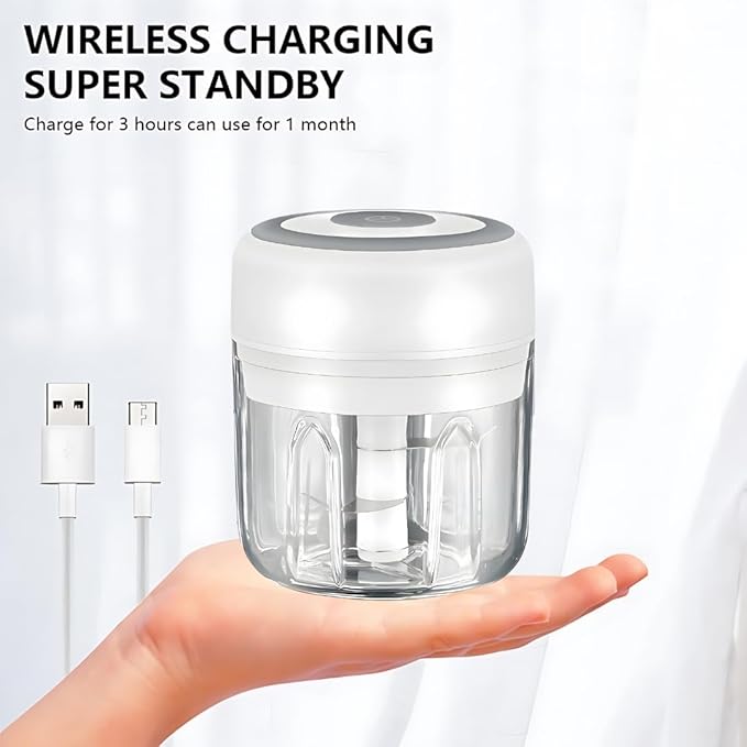 Mini Electric Food Processor & Garlic Chopper, 250ML USB Rechargeable, One-Touch Cordless Chopper with 3 Stainless Steel Blades for Garlic, Onion, Vegetables & Baby Food (White)
