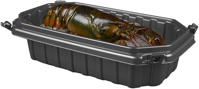 Ultra-Cold Freezer Containers (-30°C/-22°F), Frozen Meal Prep Storage with Lids, Microwave & Freezer-Safe, Perfect for Frozen Meat, Seafood and Hot Meals, 10" x 5.9" x 3.7", 10 Packs