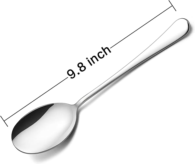 HaWare Serving Spoons X 6, 9.8 inches Large Size Stainless Steel Spoon Service for Home, Elegant Design for Kitchen/Buffet/Party, Mirror Polished and Dishwasher Safe(6 Pack)