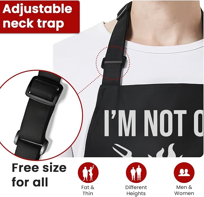 SANDJEST Funny Apron for Dad - Birthday Father’s Day Cooking Grilling Gifts for Mens