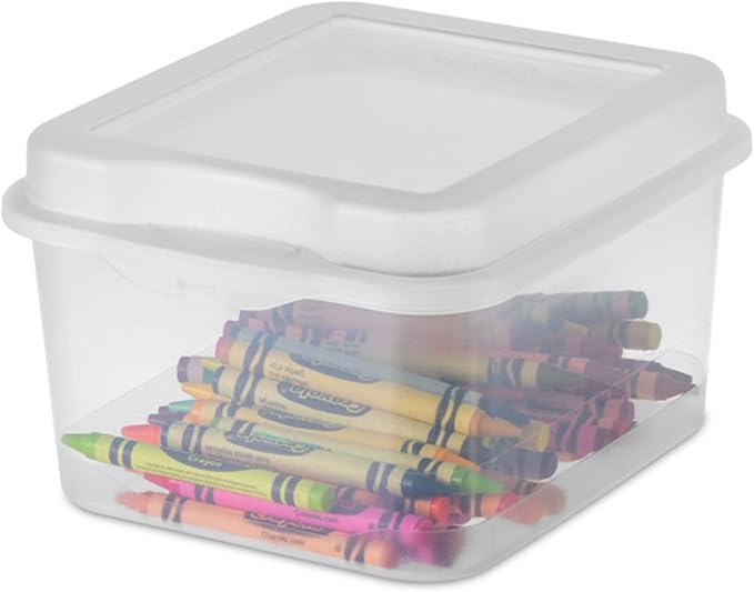 Sterilite 18038612 Small Flip Top Storage Box (24)