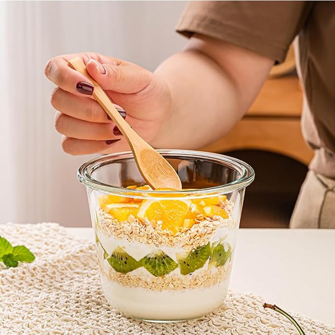 H.JSS WDJS 24 Oz Round Glass Food Storage Container set, 3 Cup Round Glass Soup Container with Airtight Lids BPA free, Borosilicate Storage Bowls, Dishwasher Microwave Freezer Safe (2 Pack)