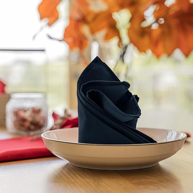 Avalon Kitchen Navy Blue Cloth Napkins Bulk (Pack of 24) - 100% Polyester Dinner Linen Napkins Cloth Washable & Reusable - Durable with Hemmed Edges - Ideal for Parties and Weddings (17x17 Inches)