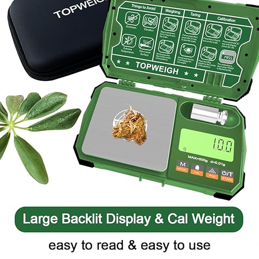 Pocket Scale, 500g x 0.01g, Dual Powered, Precision Gram Jewelry Scale with Zipper Case, Digital Small Coin Scale, Large Backlight Display, 6 Weighing Units,Cal Weight, USB Cable Included
