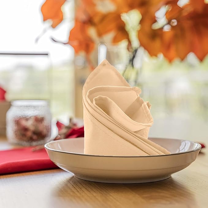 Avalon Kitchen Beige Cloth Napkins Bulk (Pack of 24) - 100% Polyester Dinner Linen Napkins Cloth Washable & Reusable - Durable with Hemmed Edges - Ideal for Parties and Weddings (17x17 Inches)