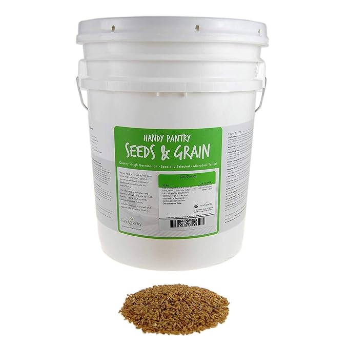 Organic Hulled Oat Groats - 30 Lbs - Oats - Hull Removed - Cereal Grain - Storage, Grains, & More
