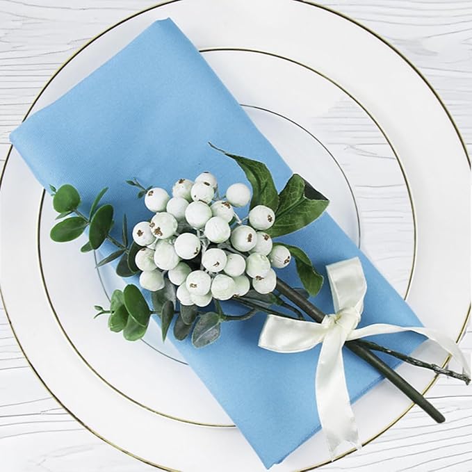 Light Blue Cloth Napkins Set of 6,18x18 inch,Spring Decorations for Table,Made of 100% Cotton,Washable Cloth Napkins,Good for Easter, Baby Shower Everyday use, Parties.(Blue)
