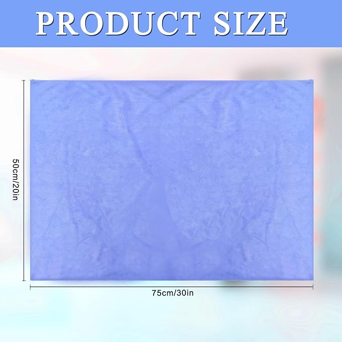 12 Pcs Extra Large Microfiber Cleaning Cloth, 20" x 30" Washable Reusable Large Floor Cloth Rags, Microfiber Towels for Mop Cleaning Office Bathrooms Housekeeping (Blue, White)