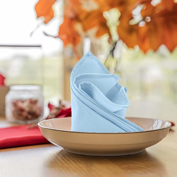 Avalon Kitchen Light Blue Cloth Napkins Bulk (Pack of 24) - 100% Polyester Dinner Linen Napkins Cloth Washable & Reusable - Durable with Hemmed Edges - Ideal for Parties and Weddings (17x17 Inches)