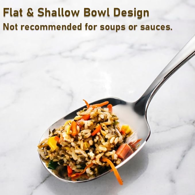 Large Serving Spoons Set of 2 – Heavy Duty 316L Stainless Steel Serving Spoon for Buffet – Dishwasher Safe, 9.5 Inch