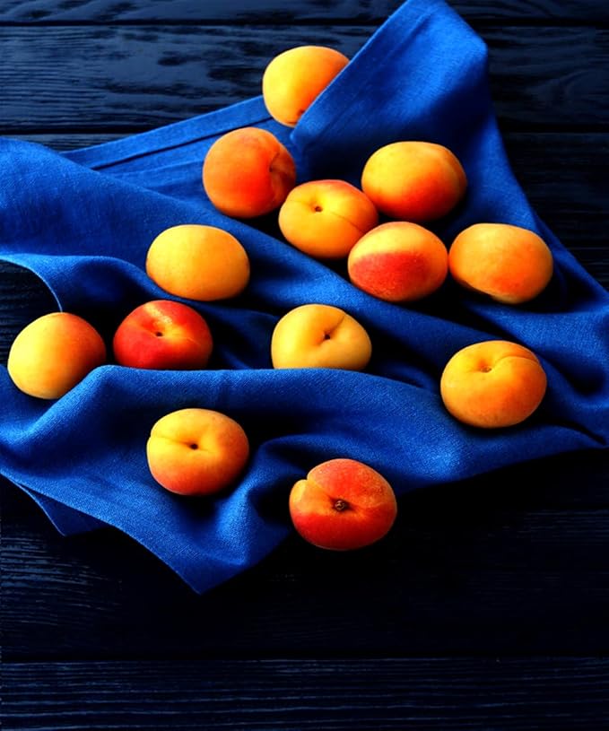 Cloth Napkins Set of 6, 100% Cotton Reusable for Everyday Use, Perfect for Christmas/Thanksgiving Dining Table (Blue)