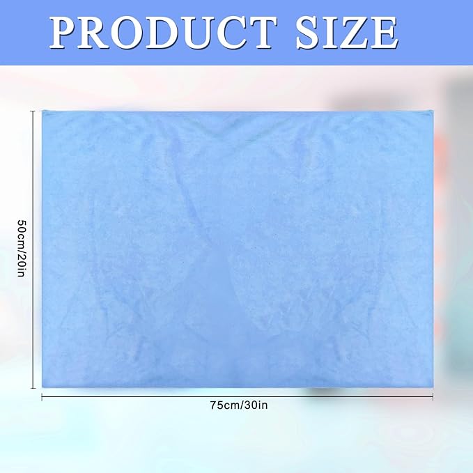 6 Pcs Extra Large Microfiber Cleaning Cloth, 20" x 30" Washable Reusable Large Floor Cloth Rags, Microfiber Towels for Mop Cleaning Office Bathrooms Housekeeping (Blue, White)