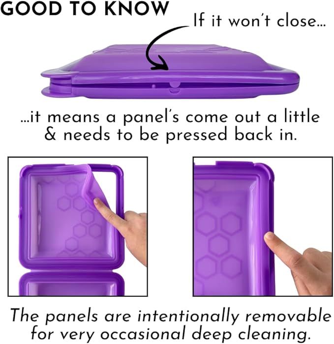Big Bee, Little Bee SoftShell Reusable Silicone Food Storage Container - Clamshell Snap-Close Design, No Lost Lids, Easy to Clean, Compact for Travel, Meal Prep, Microwave Freezer and Dishwasher Safe