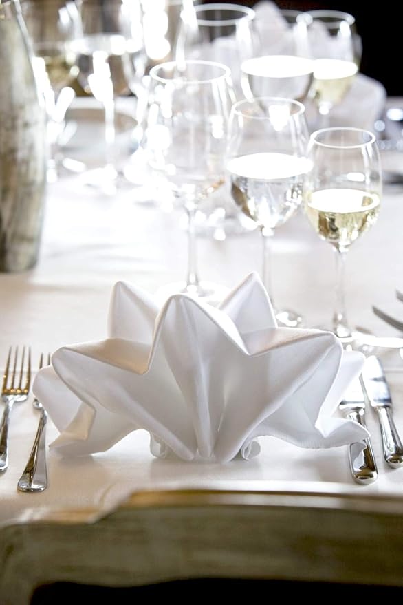 White Cotton Cloth Napkins Set of 6 for Everyday Use, Reusable 100% Cotton Napkins, Perfect Dinner Napkins/Cocktail Napkins for Christmas/Thanksgiving Dinners, Weddings&More (White)