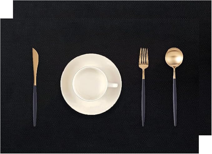 Black Placemats Set of 2 - Heat Resistant Non-Slip Place mats for Dining Table, Washable Durable PVC Vinyl Woven Table Mats (Black, 2)