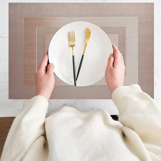 PIGCHCY Placemats,Heat Resistant Non Slip Durable Plastic Place Mats,Washable Easy to Clean Woven Vinyl Kitchen Placemats for Dining Table Set of 4 (Champagne)
