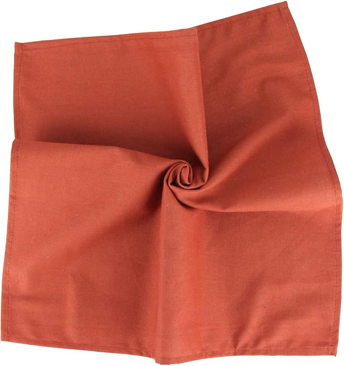 Solid Color Cotton Blended Dinner Cloth Napkins - Set of 12 (17 x 17 inches) - for Christmas Thanksgiving Fall Use (Cinnamon)