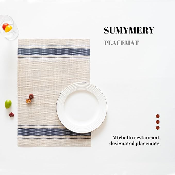 Placemats Set of 6 Vinyl/Plastic Woven Place Mats for Kitchen Table Indoor/Outdoor Washable Placemat Wipeable Dining Table Mats (Khaki Blue,6)