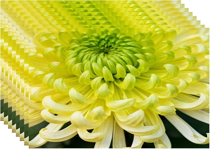 Batmerry Spring Floarl Placemats, Lime Green Chrysanthemum Flower Square Washable Linen Table Mats for Kitchen Table Double Insulation Decor Dining Set Indoor Outdoor 12X18 in Set of 8