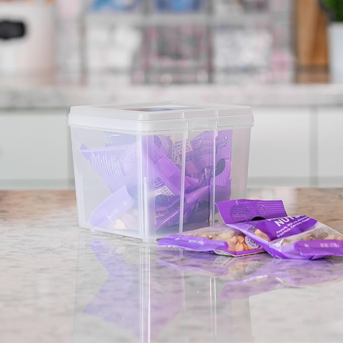 IRIS USA Vertical Plastic Flip Top Storage Containers Bins with Lids for Pantry, Home, Office, Organization, Small, Stackable Hinged Organizer with Latches, Clear, 10 Pack