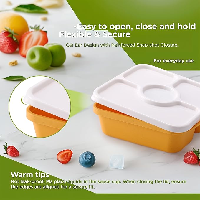 Jewel Color Bento Lunch Box Containers, 4 Pack Meal Food Prep Containers Reusable with Lids, Divided Food Storage Containers with Sauce Cups