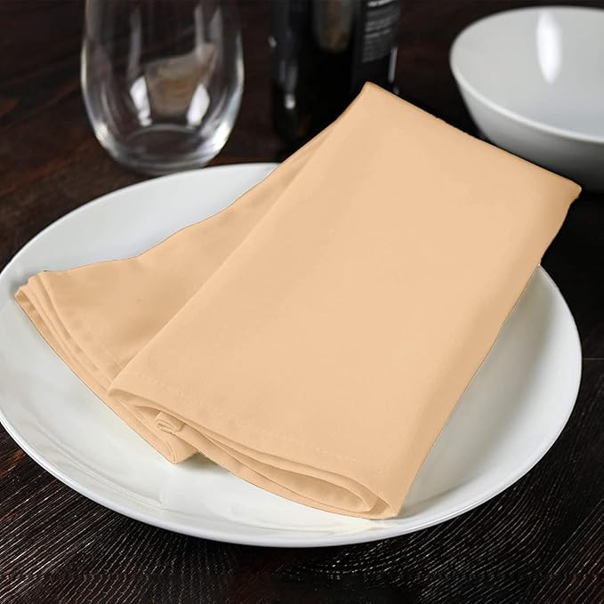 Avalon Kitchen Beige Cloth Napkins Bulk (Pack of 24) - 100% Polyester Dinner Linen Napkins Cloth Washable & Reusable - Durable with Hemmed Edges - Ideal for Parties and Weddings (17x17 Inches)