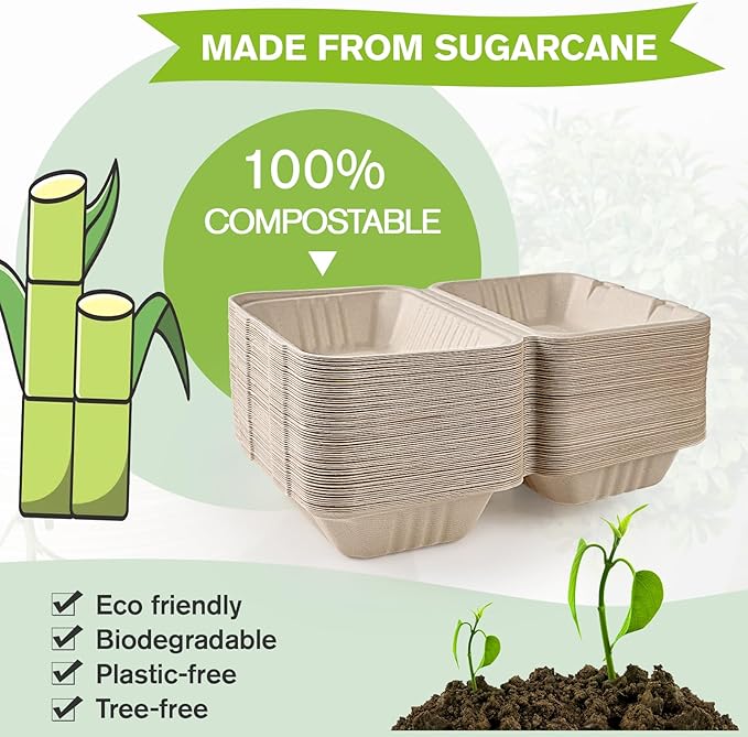 ECOLipak 500 Pack Clamshell Take Out Food Containers, 100% Compostable Disposable To Go Containers, 9X6 inch Heavy-Duty To Go Boxes for Food