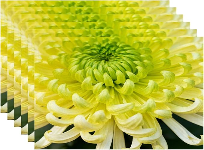 Batmerry Spring Floarl Placemats, Lime Green Chrysanthemum Flower Square Washable Linen Table Mats for Kitchen Table Double Insulation Decor Dining Set Indoor Outdoor 12X18 in Set of 6