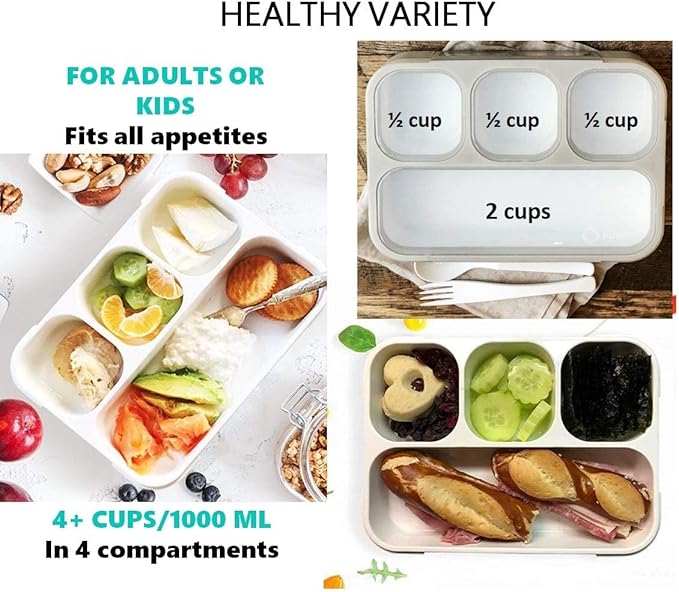kinsho Bento Lunch Box Container for Kids Adults, Portion Control Meal Prep and Snack Containers, Japanese Style Boxes with 4 Compartments for Boys Girls Teens, School Work and Travel | Gray