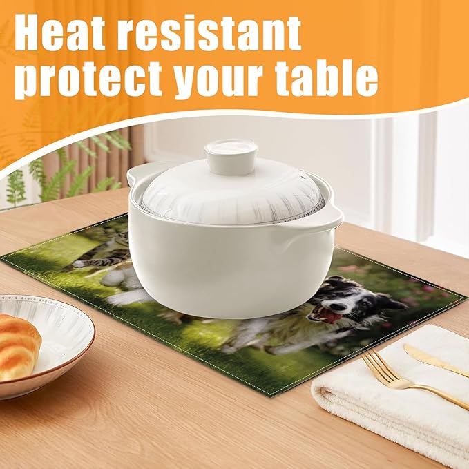 Cute Cat Dog Animal Placemats Set of 6,12 x 18 Inch Table Mats Washable Heat Resistant Linen Fabric Rectangle Place Mat for Party Home Kitchen Dining