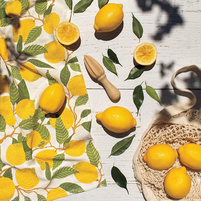 Now Designs Lemons Printed and Woven Kitchen Towel, Set of 2