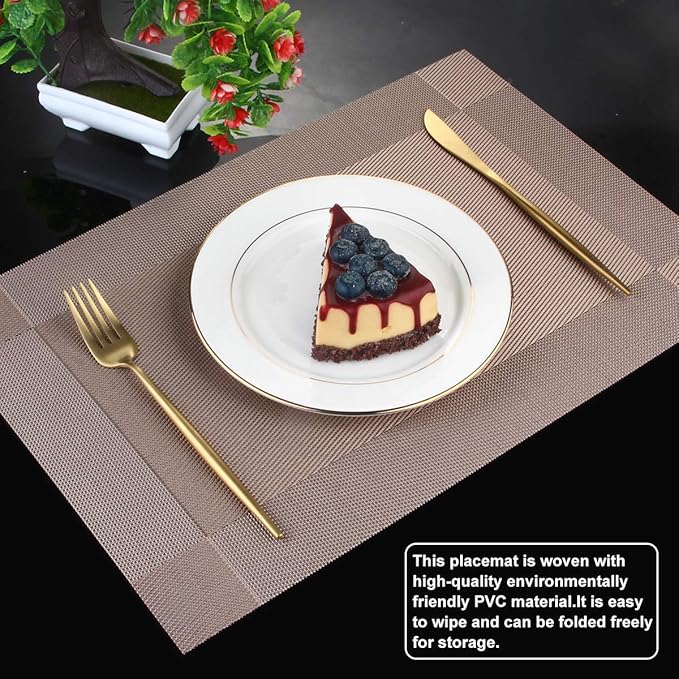 DACHUI Placemats Set of 6, Stylish Woven Place Mats for Dining Table, Washable & Durable PVC Table Mats (Champagne)