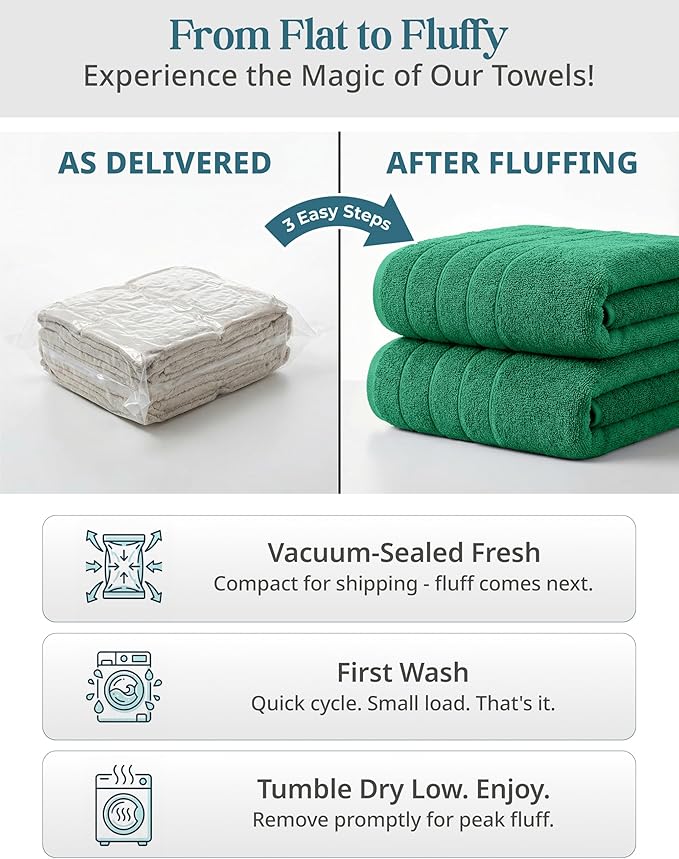 Casa Platino 100% Mercerized Cotton Bathroom Towel Set - 8 Pieces, Hotel Quality - Super Soft & Highly Absorbent - Ring Spun - 2 Large Bath Towels, 4 Washcloths, 2 Hand Towels - Family Pack - Emerald