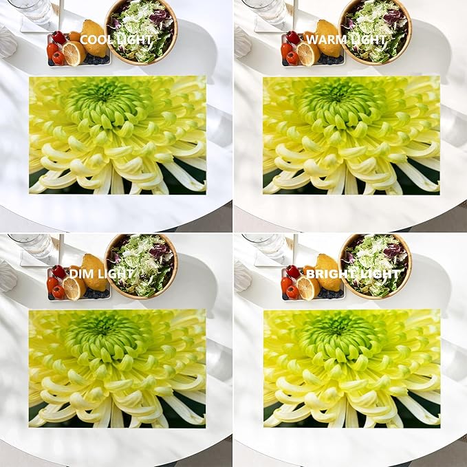 Batmerry Spring Floarl Placemats, Lime Green Chrysanthemum Flower Square Washable Linen Table Mats for Kitchen Table Double Insulation Decor Dining Set Indoor Outdoor 12X18 in Set of 8