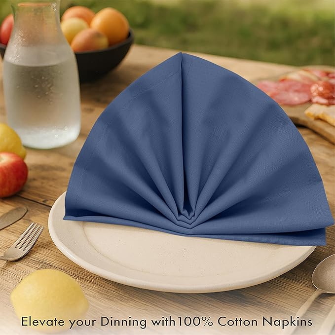 Ruvanti Cloth Napkins Set of 12, 100% Cotton High GSM 18x18 Inches Soft, Washable, Highly Durable & Absorbent, Perfect for Parties, Christmas, Thanksgiving Dinners – Bijou Blue