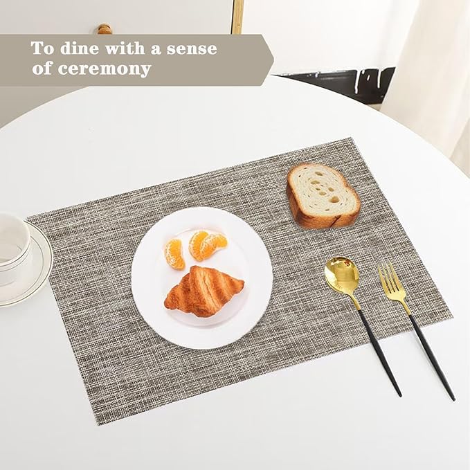 Cappuccino Placemats Set of 2 - Heat Resistant Non-Slip Place mats for Dining Table, Washable Durable PVC Vinyl Woven Table Mats (Cappuccino, 2)