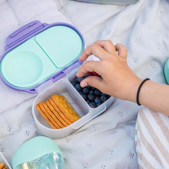 b.box Snack Box 2-Pack - Leak Proof Mini Bento Box for Kids & Toddlers, 2 Compartment Snack Containers for Kids, Dishwasher Safe, BPA-Free, PFAS-Free, Ages 4mo+, 1 3/4 Cup Each (Strawberry + Lilac)