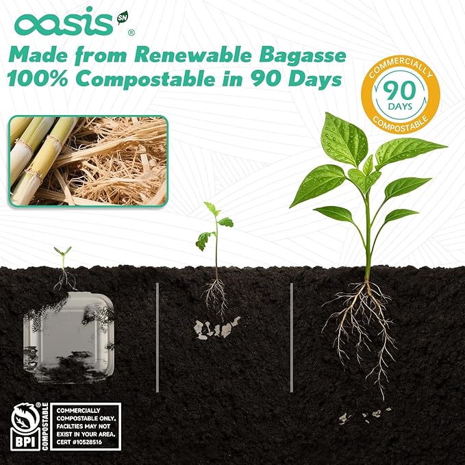 𝟲𝘅𝟲", 𝟭𝟮𝟴-𝗣𝗮𝗰𝗸 Compostable Clamshell Take Out Food Containers, Biodegradable Bagasse Paper To-Go Boxes for Burgers, Sandwiches, Eco-Friendly, Microwave & Freezer Safe (White, Small)