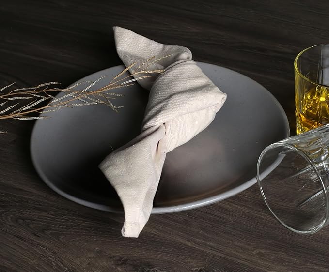 Native Fab Solid Cloth Napkin Set of 4, 100% Chambray Cotton, Washable, Reusable Dinner Cloth Napkin 17x17 inches, Table Decor Napkins for Dinner, Events, Beige