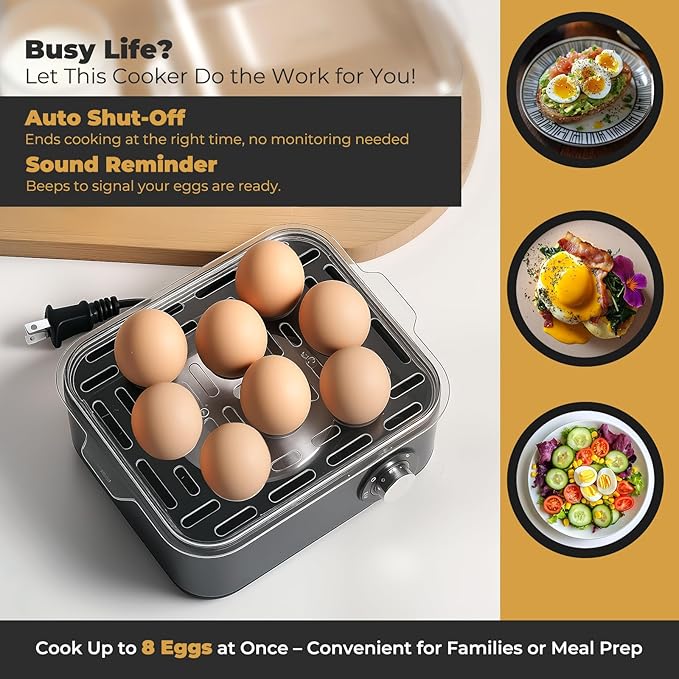 Annie & Mia Design Stainless Steel Electric Rapid Egg Cooker, 8 Egg Capacity 500W, Soft/Medium/Hard Boiled Egg Boiler Poacher Steamer Omelet Maker, Knob Auto Shut-Off, with Recipe Guide Book (Black)