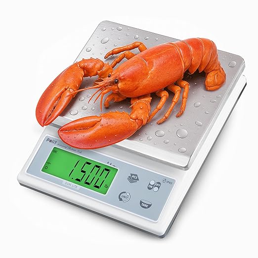 Polit Sun Lite IP65 Waterproof Baking Scale — 6.6lb/3kg Auto-Precision 0.1g/0.5g/1g Digital Kitchen Scale with Green LCD, Dual Power & Detachable Stainless Tray for Pastry, Seasoning & Daily Cooking